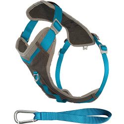 Kurgo Journey(TM) Dog Running Harness, Dog Walking Harness, Dog Hiking Harness, Dog Harness Large, Blue