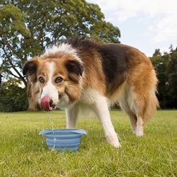 Kurgo Collapsible and Portable Travel Dog Bowl for Food and Water with Carabiner, Blue