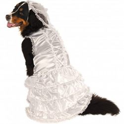 Rubie's Big Dog Bride Costume
