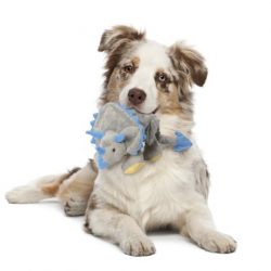 goDog Dinos Triceratops With Chew Guard Technology Tough Plush Dog Toy, Grey, Large