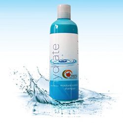 Moisturizing Shampoo for Dry & Damaged Hair with Lavender & Jojoba