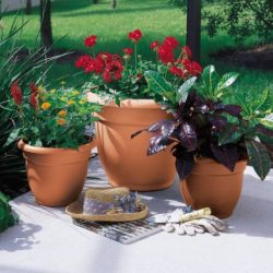Bloem Ariana Self Watering Planter, 6", Calypso
