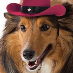 Rubie's Red Cowboy Hat for Dogs