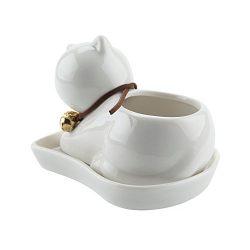 Lazy Cat Design Ceramic Succulent Plant Pot