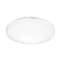 Lithonia Lighting FMLRDL M4 20W LED Flush Mount, White