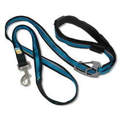 Kurgo 6-in-1 Quantum (TM) Hands Free Dog Leash for Walking, Running or Hiking & Reflective Dog Leash with Adjustable Waist Belt, Coastal Blue