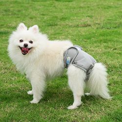 Reusable Washable Dog Diapers