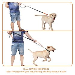 Hands Free Dog Leash with Retractable Leash, Strong Bungee, Dog Waste Bags for All-Size Dogs (Orange)