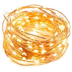 LED String Lights 33 ft with 100 LEDs, TaoTronics Waterproof Decorative Lights for Bedroom