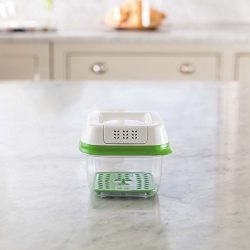 Rubbermaid FreshWorks Produce Saver Food Storage Container, Small, 2.5 Cup, Green