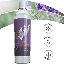 Pure Tea Tree Oil Shampoo - Natural Essential Oil Anti-Dandruff Shampoo