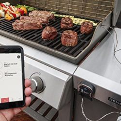 Weber iGrill 3 Thermometer