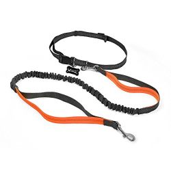 Hands Free Dog Leash with Retractable Leash, Strong Bungee, Dog Waste Bags for All-Size Dogs (Orange)