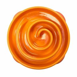 Slow Feeder Dog Bowl Fun Feeder Stop Bloat Bowl for Dogs