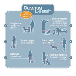 Kurgo 6-in-1 Quantum (TM) Hands Free Dog Leash for Walking, Running or Hiking & Reflective Dog Leash with Adjustable Waist Belt, Coastal Blue