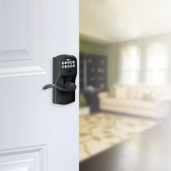 Schlage Camelot Keypad Accent Lever Door Lock, Aged Bronze