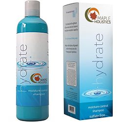 Moisturizing Shampoo for Dry & Damaged Hair with Lavender & Jojoba