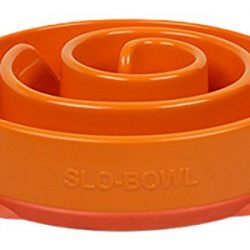 Slow Feeder Dog Bowl Fun Feeder Stop Bloat Bowl for Dogs
