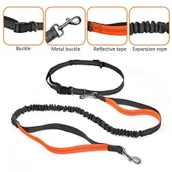 Hands Free Dog Leash with Retractable Leash, Strong Bungee, Dog Waste Bags for All-Size Dogs (Orange)