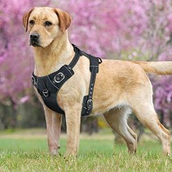 Front Range No-Pull Dog Harness with Handle Adjustable Reflective Pet Harness Vest