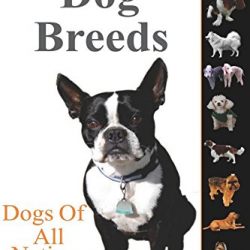 Dog Breeds: Dogs of All Nations.