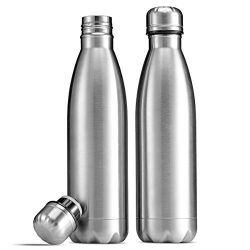 FineDine 18/8 Double-Wall Insulated Stainless Steel Water Bottles (Set of 2)