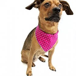 Tail Trends 4 Pack Pet Dog Bandanas Triangle Bib Scarf Assortment
