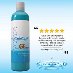 Moisturizing Shampoo for Dry & Damaged Hair with Lavender & Jojoba
