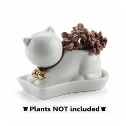 Lazy Cat Design Ceramic Succulent Plant Pot