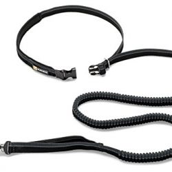 Ruffwear Roamer Extending Dog Leash, Obsidian Black (2018), 7.3-11 ft