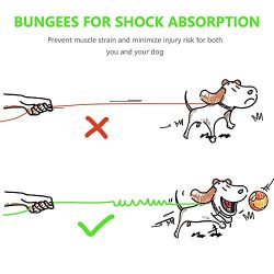 Hands Free Dog Leash with Retractable Leash, Strong Bungee, Dog Waste Bags for All-Size Dogs (Orange)