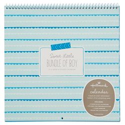 Hallmark Baby Boy Sticker and Photo 13-Month Calendar