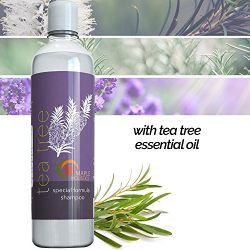 Pure Tea Tree Oil Shampoo - Natural Essential Oil Anti-Dandruff Shampoo