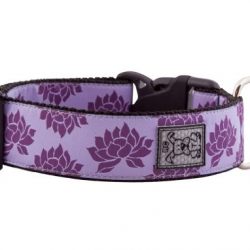 RC Pet Products 1-1/2-Inch Wide Dog Clip Collar, Large, Nirvana