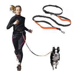 Hands Free Dog Leash with Retractable Leash, Strong Bungee, Dog Waste Bags for All-Size Dogs (Orange)