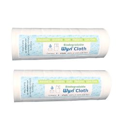 Wysi Baby Starter Kit 100 Biodegradable Wipes and Travel Tube - On the Go! Anytime! Just Add Water!