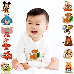 Disney Baby Boys Assorted Character Monthly Milestone Photo Prop Belly Stickers, 12 Sticker Gift Set, 0-12M