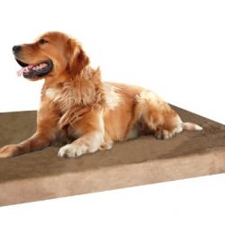 Dogbed4less Extra Large Gel Infused Cooling Memory Foam Dog Bed