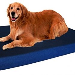 Dogbed4less Extra Large Orthopedic Memory Foam Dog Bed, Waterproof Liner