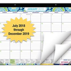 Desk Calendar 2019 - 22"x17" - (Runs from July 2018 through December 2019) (1 Pack)
