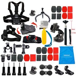 Lifelimit Accessories Starter Kit for Gopro Hero 6/fusion/5/Session/4/3/2/HD/HERO+ (Wi-Fi Enabled) Silver Cameras SJ4000 /5000/ 6000 /AKASO/ APEMAN/ DBPOWER/ And Sony Sports DV and More