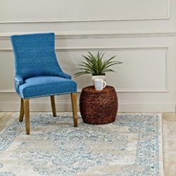 Oriental 5x7 Area Rug Carpet New