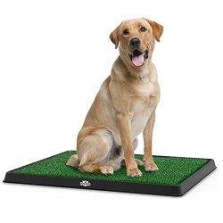Feature: PET TRAINING: Perfect for proprietors that work extend periods of time or live in condos, and need to potty prepare their pets. This restroom tangle uncomplicates the procedure by offering a spot for your pets to soothe themselves indoors. THREE LAYER SYSTEM: This pet cushion includes a three-layer framework that makes tidy up easy. The scent safe, antimicrobial tangle sits over the plastic embed that secures, and enables fluid to deplete into the solid gathering tray. EASY CLEAN-UP: Cleaning the pet washroom tangle is speedy and simple. Tidy up comprises just of flushing the three layers with sudsy water. PRODUCT DETAILS: Materials: Synthetic Plastic (Grass Mat) and Hard Plastic (Tray and Insert). Measurements: 20" x 25" x 1.25". SATISFACTION GUARANTEED: PETMAKER is focused on furnishing purchasers with the most perfectly awesome cost and incentive on our items. NOTE: This is a selective result of PETMAKER and ONLY Indoor, Artificial Grass Bathrooms are ensured to be genuine. House preparing your pet can be straightforward while using the advantages of the Indoor, Artificial Grass Bathroom Mat for Small Pets by PETMAKER. This restroom tangle and plate is intended to oblige to the potty preparing needs of puppies, alongside the necessities of little to medium estimated pets that can't make it outside for any reason. The versatile pet cushion and plate framework enables your feline or pooch to have a worthy place to calm themselves, which guarantees a cleaner house, condo, or yard. Essential: Avoid purchasing fake items and executing with unapproved dealers. Search for our logo on the bundling for each one of our items. PETMAKER is focused on furnishing the buyer with the most perfectly awesome cost and incentive on the greater part of our items, which we guarantee by applying a thorough Quality Control process. PETMAKER is an enlisted trademark secured by U.S. Trademark law and will be enthusiastically shielded.