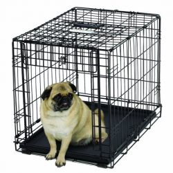 MidWest Homes for Pets Ovation Single Door Dog Crate, 24-Inch