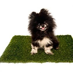 Best Pet Turf | The #1 APPROVED Replacement Artificial Grass Patch for PetMaker 20" x 25" Tray | Quick Drainage Holes | Real Feel - Fake Grass for Dogs and Cats |100% Lead-Free | Made In The USA!