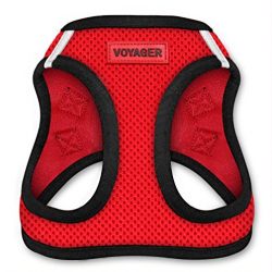 Voyager All Weather No Pull Step-in Mesh Dog Harness with Padded Vest, Best Pet Supplies, Small, Red Base