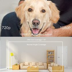 Home Security Camera, LaView ONE Dot 1080P HD WiFi Wireless IP Camera, Motion Detection, Night Vision, Two-Way Audio, Baby/Nanny/Pet Monitor, Cloud Service Available (Black)