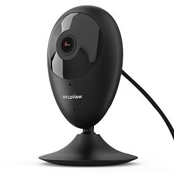 Home Security Camera, LaView ONE Dot 1080P HD WiFi Wireless IP Camera, Motion Detection, Night Vision, Two-Way Audio, Baby/Nanny/Pet Monitor, Cloud Service Available (Black)