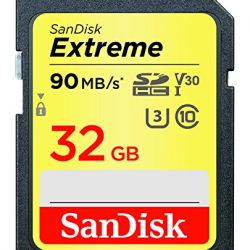 SanDisk Extreme 32GB 90 Mb/s SDHC UHS-I Card (SDSDXVE-032G-GNCIN) [Newest Version]