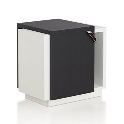 HOMES: Inside + Out Tallulah Two Tone Modern Cube End Table, Black/White